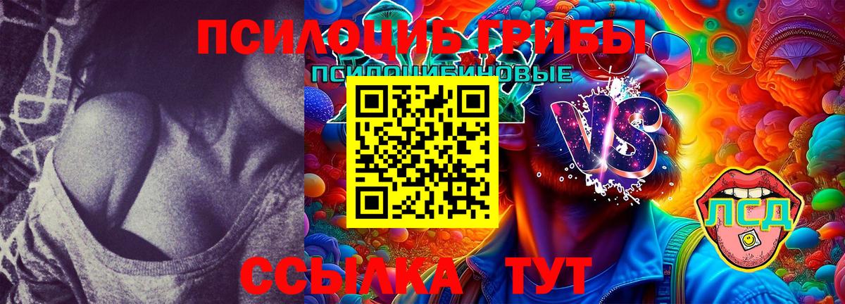 Псилоцибиновые грибы Psilocybine cubensis  Псилоцибиновые грибы Psilocybine cubensis  Вход с VPN  Дзержинский 